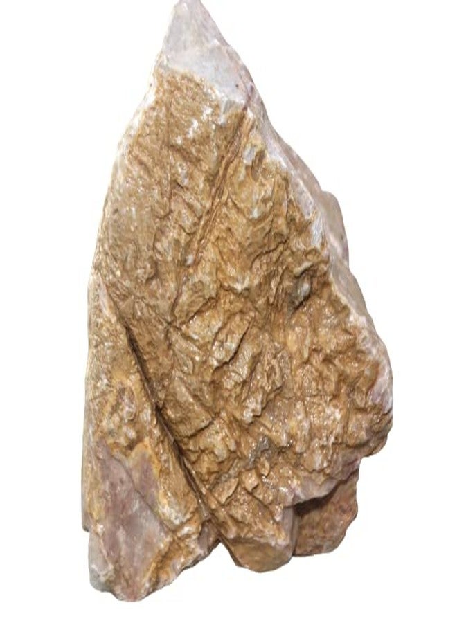 Maalavya Rocks for Reef Tank Setup Aquarium Decoration Garden Décor Planted Tanks ETC (Millennium Rock,7 KG) - Image 4